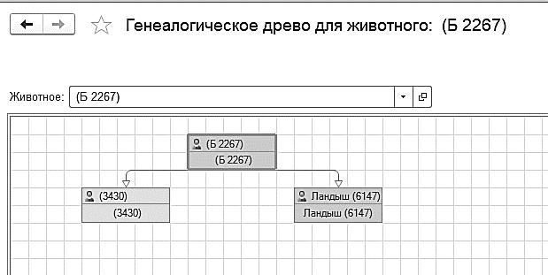 Как составить генеалогическое древо семьи: шаблоны и советы | ФотоМАСТЕР | Дзен