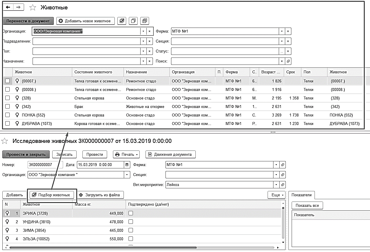 6.2.3. Документ «Исследование животных» :: 1С:Цифровое животноводство.  Оперативный учет и управление производством. КРС